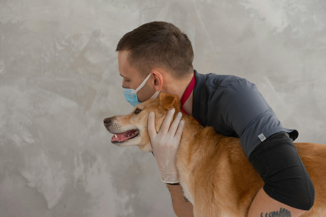 Hard Water and Dog Skin Problems: Mineral Buildup, Dryness, and Solutions