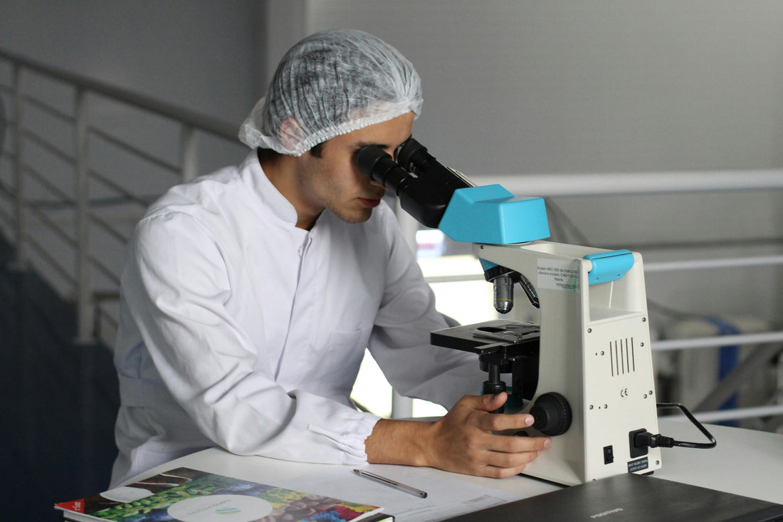 How the Skin Microbiome Differs in Atopic Dogs: Research Insights