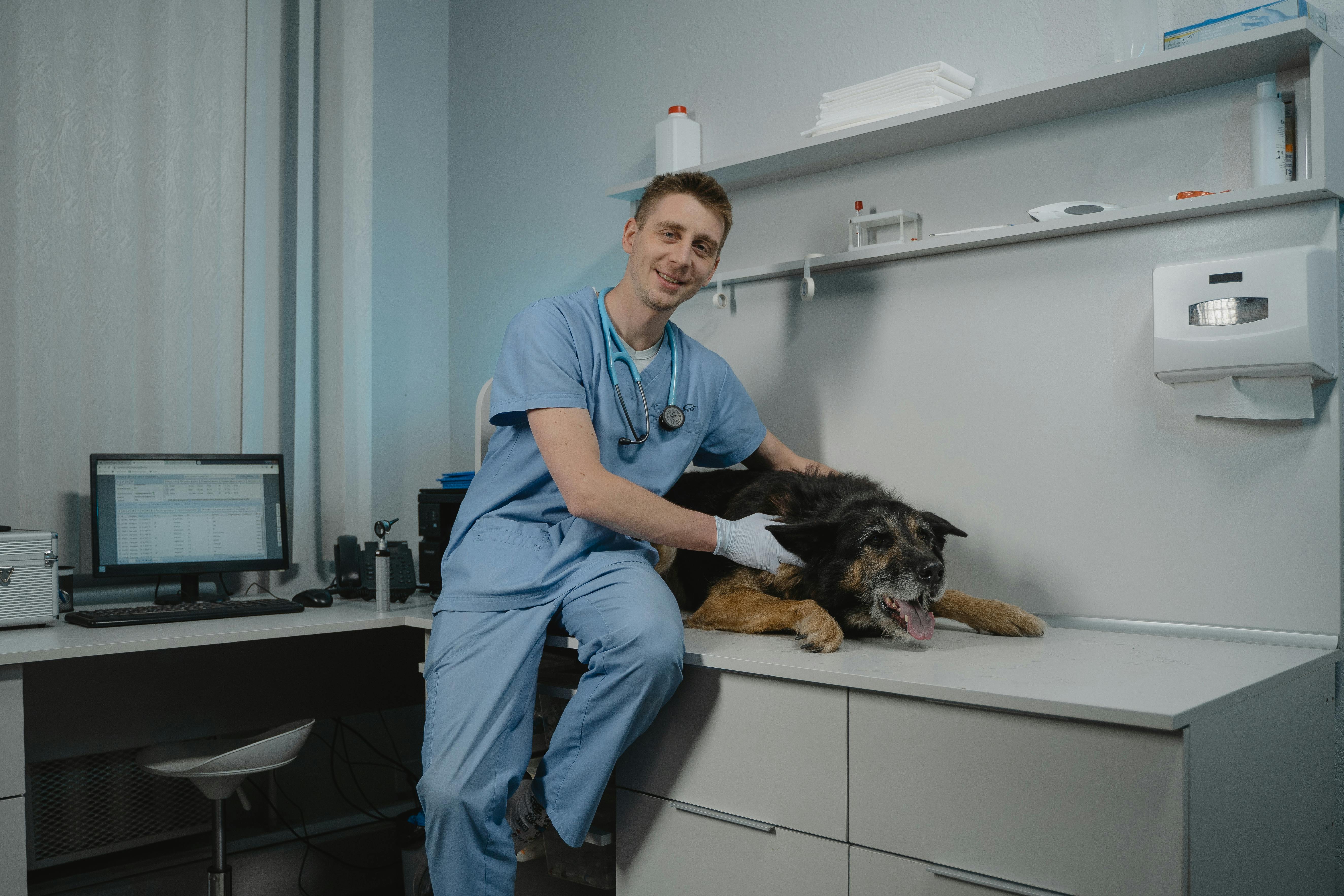 Yeast vs Bacterial Skin Infections in Dogs – Vetified