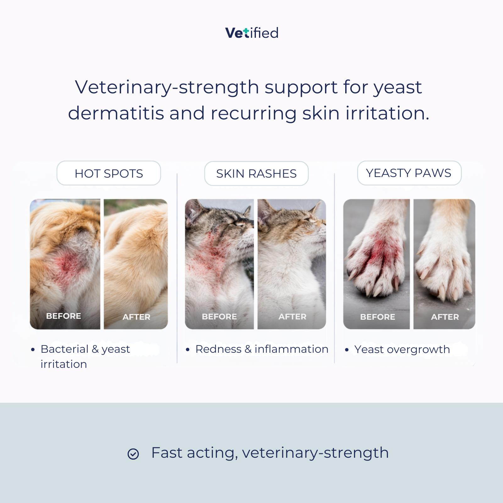 Yeast Dermatitis Spray – 8 fl oz