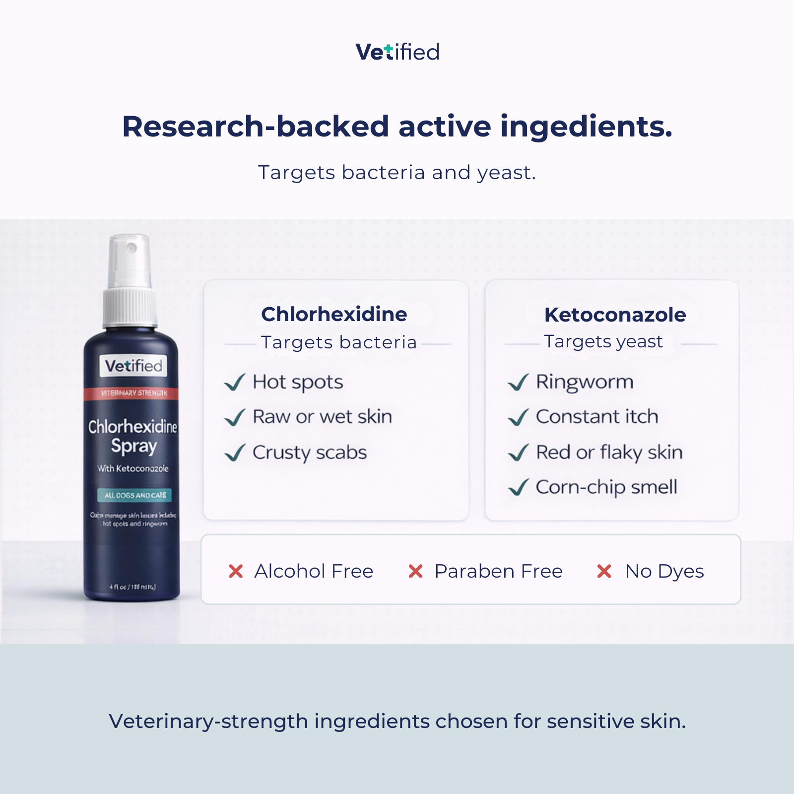 Chlorhexidine Spray – 8 fl oz