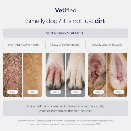 Anti-Odor Deep Clean Dog Shampoo
