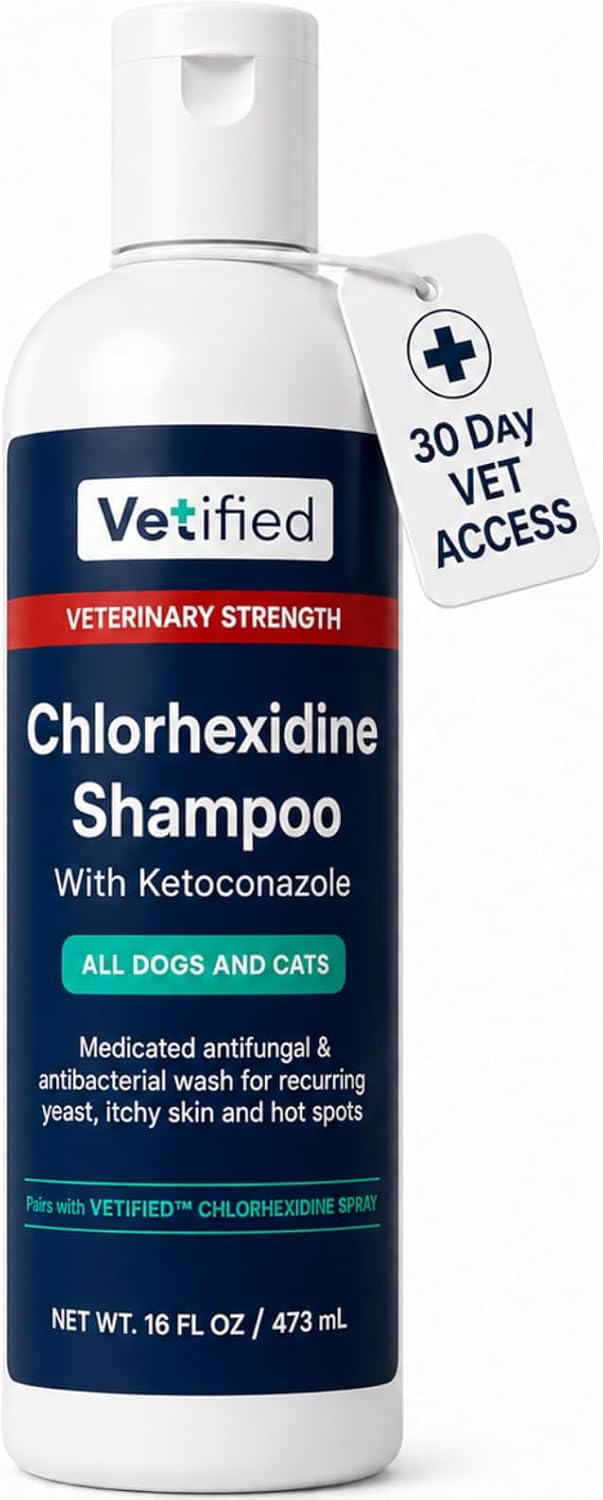 Chlorhexidine Shampoo – 16 fl oz